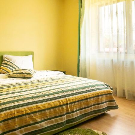 Pensiunea Magda Campulung Moldovenesc Ngoại thất bức ảnh