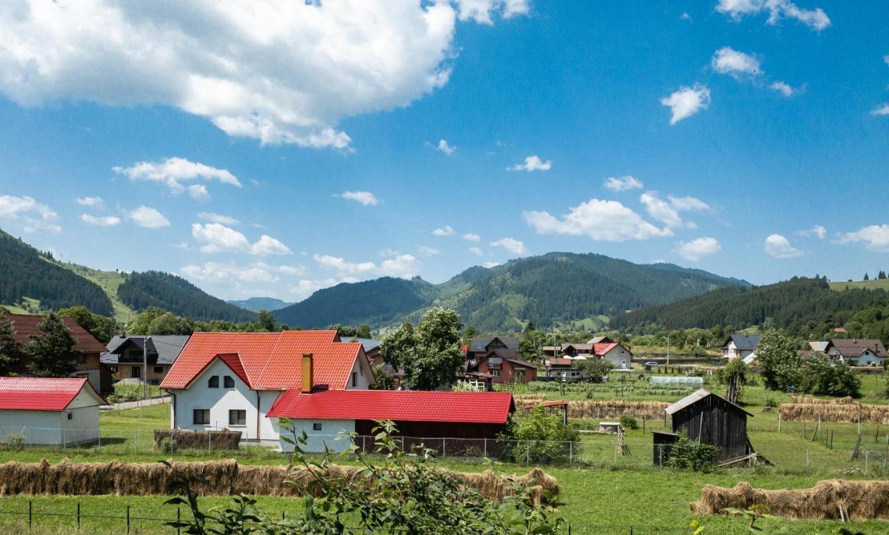 Pensiunea Magda Campulung Moldovenesc Ngoại thất bức ảnh